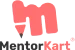 mentor kart 1